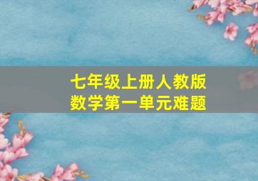 七年级上册人教版数学第一单元难题