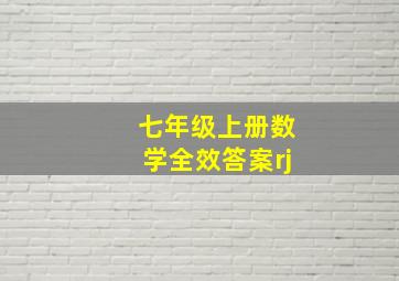 七年级上册数学全效答案rj