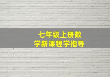 七年级上册数学新课程学指导