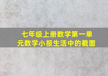 七年级上册数学第一单元数学小报生活中的截面