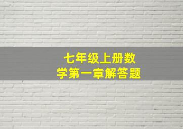 七年级上册数学第一章解答题