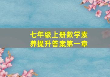 七年级上册数学素养提升答案第一章