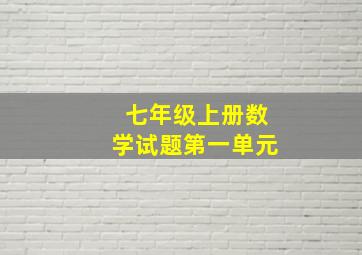 七年级上册数学试题第一单元