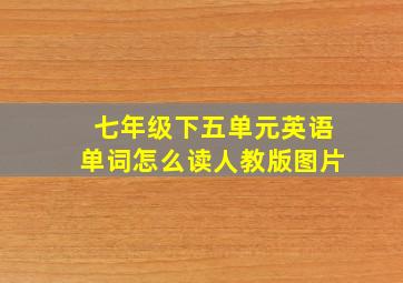 七年级下五单元英语单词怎么读人教版图片