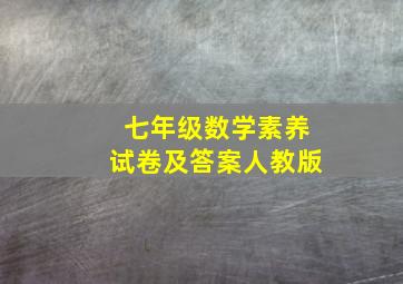 七年级数学素养试卷及答案人教版