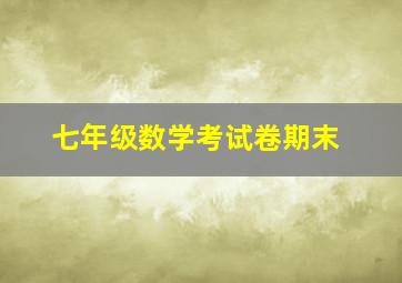 七年级数学考试卷期末