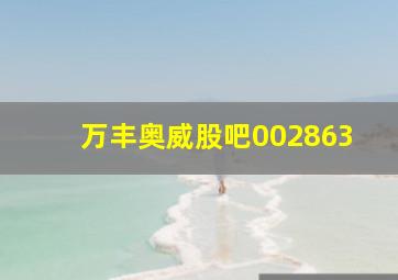 万丰奥威股吧002863