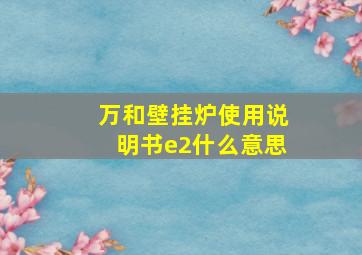 万和壁挂炉使用说明书e2什么意思