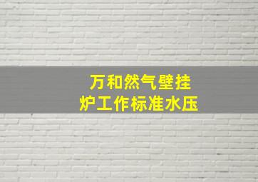 万和然气壁挂炉工作标准水压