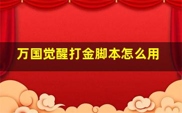 万国觉醒打金脚本怎么用