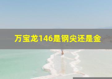 万宝龙146是钢尖还是金