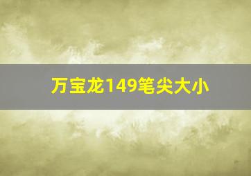 万宝龙149笔尖大小