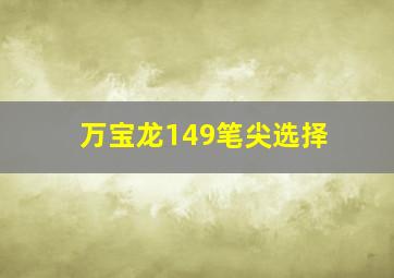 万宝龙149笔尖选择