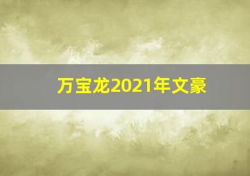 万宝龙2021年文豪