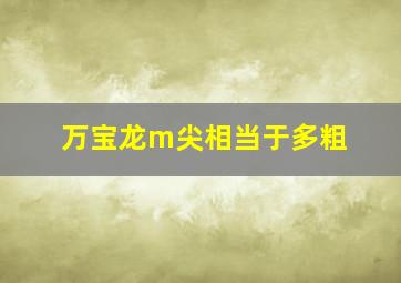 万宝龙m尖相当于多粗