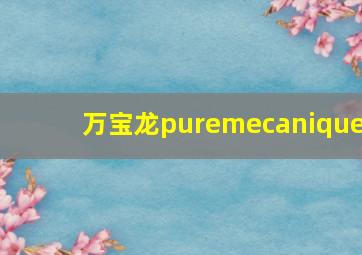 万宝龙puremecanique