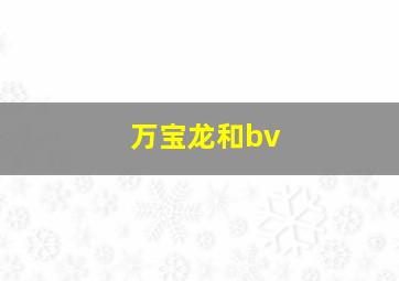 万宝龙和bv