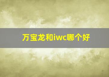 万宝龙和iwc哪个好