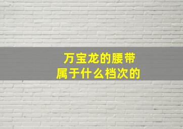 万宝龙的腰带属于什么档次的