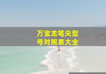 万宝龙笔尖型号对照表大全