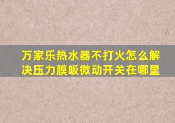 万家乐热水器不打火怎么解决压力膜皈微动开关在哪里