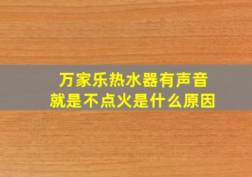 万家乐热水器有声音就是不点火是什么原因