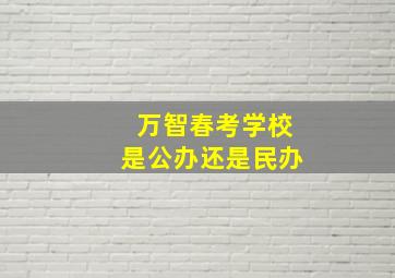 万智春考学校是公办还是民办