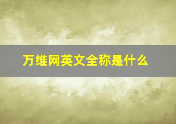 万维网英文全称是什么