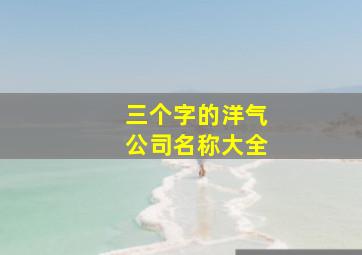 三个字的洋气公司名称大全