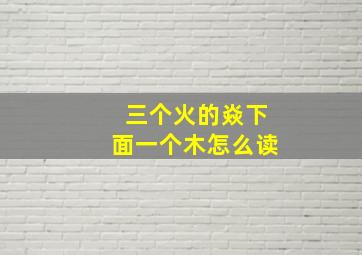 三个火的焱下面一个木怎么读