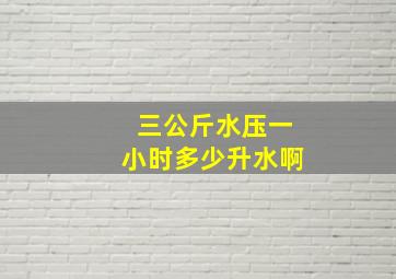 三公斤水压一小时多少升水啊