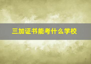 三加证书能考什么学校