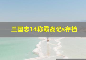 三国志14称霸战记s存档