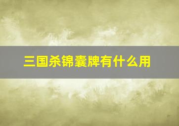 三国杀锦囊牌有什么用