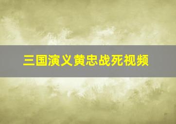 三国演义黄忠战死视频