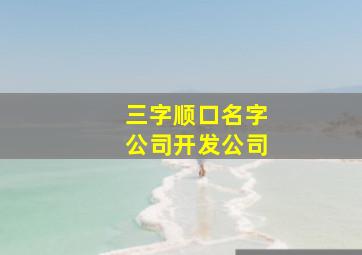 三字顺口名字公司开发公司