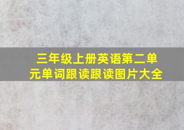 三年级上册英语第二单元单词跟读跟读图片大全