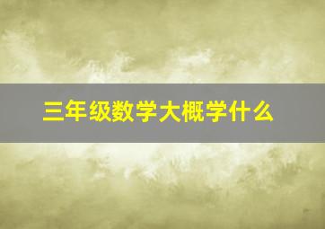 三年级数学大概学什么