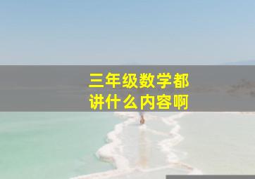 三年级数学都讲什么内容啊