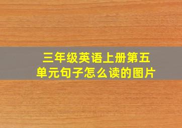 三年级英语上册第五单元句子怎么读的图片