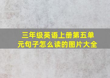 三年级英语上册第五单元句子怎么读的图片大全