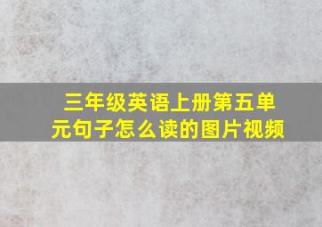 三年级英语上册第五单元句子怎么读的图片视频