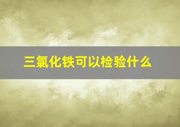 三氯化铁可以检验什么