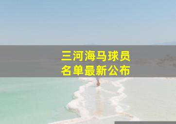 三河海马球员名单最新公布