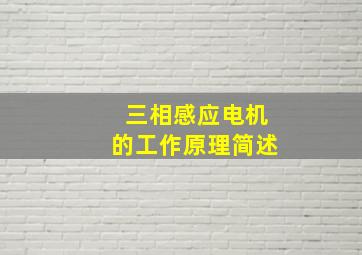 三相感应电机的工作原理简述