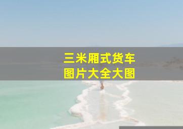 三米厢式货车图片大全大图