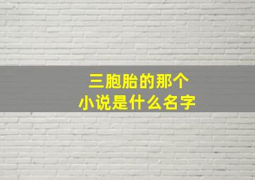 三胞胎的那个小说是什么名字