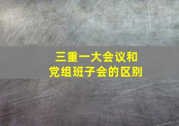 三重一大会议和党组班子会的区别