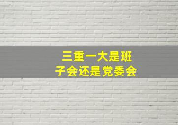 三重一大是班子会还是党委会