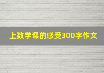 上数学课的感受300字作文